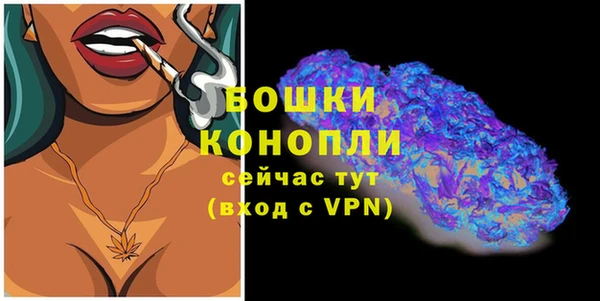 молекула духа Волосово