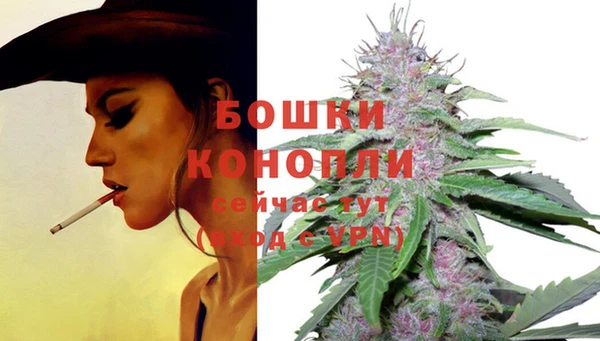 СК Волоколамск