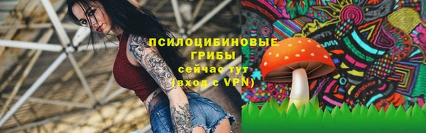 СК Волоколамск