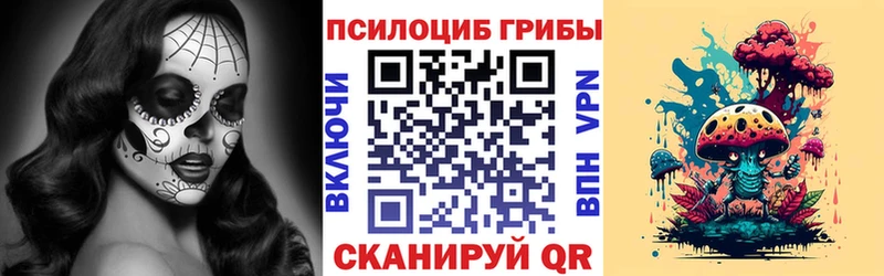 Галлюциногенные грибы MAGIC MUSHROOMS Новоржев
